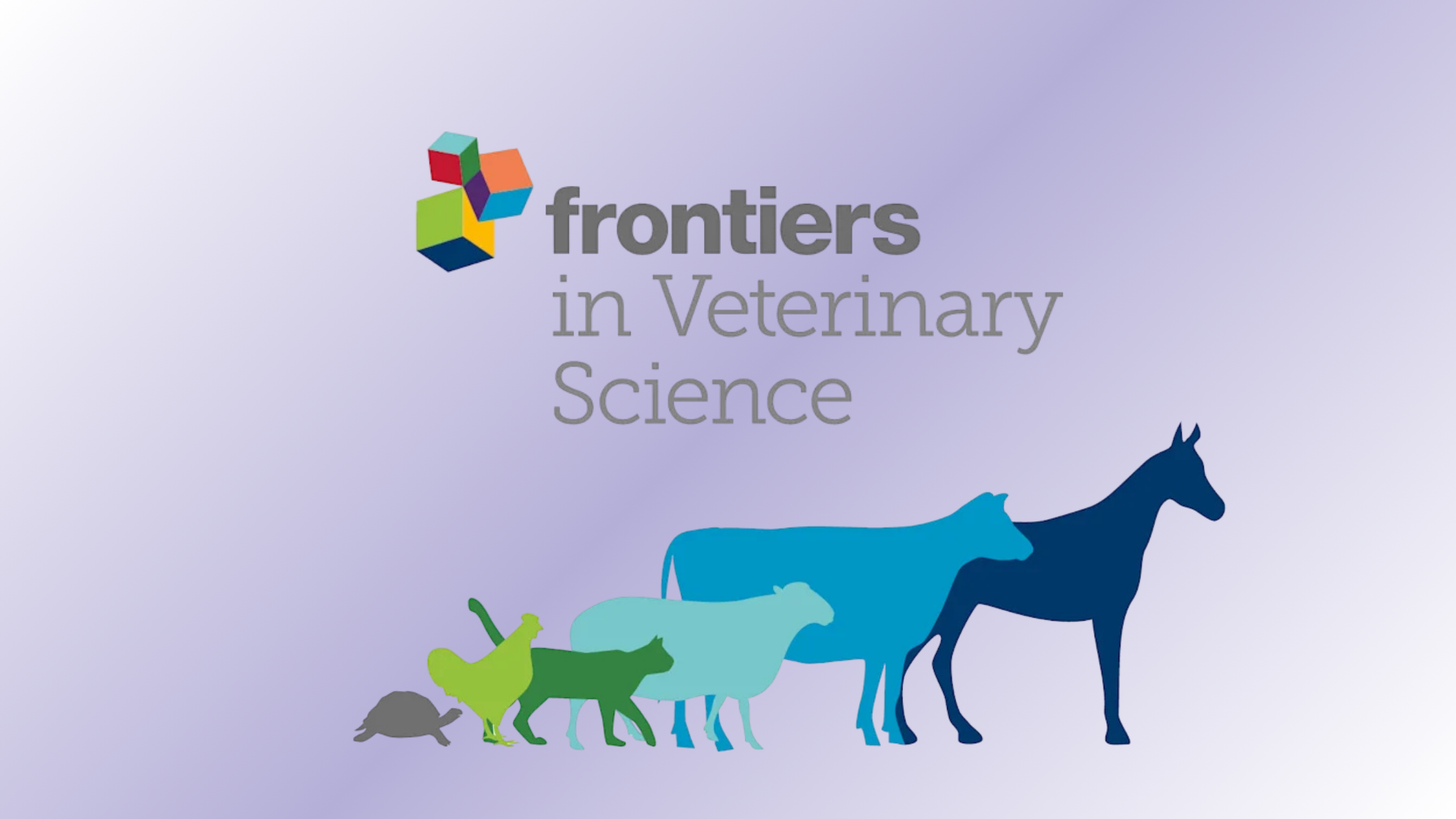 Understanding Pain in Dogs With Arthritis And How...