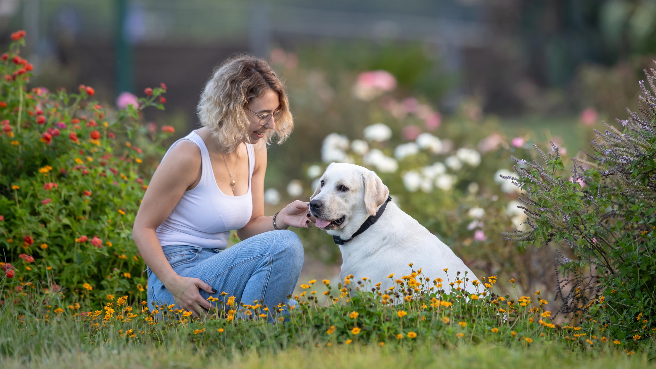 The Day Everything Looked Normal… But It Wasn’t